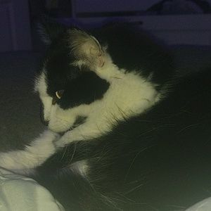 Meet your Posher, Jocelyn